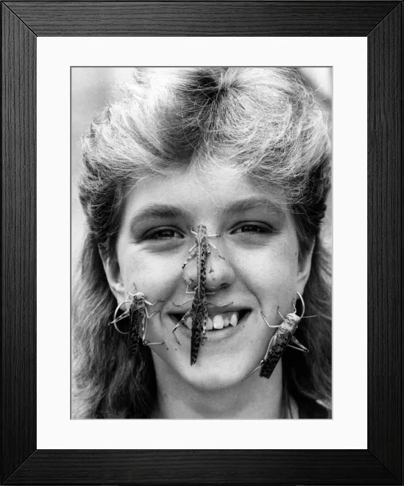 Framed Print : Insects: Locusts crawl over models face. April 1987 P008105 Framed Print : Insects: Locusts crawl over models face. April 1987 P008105