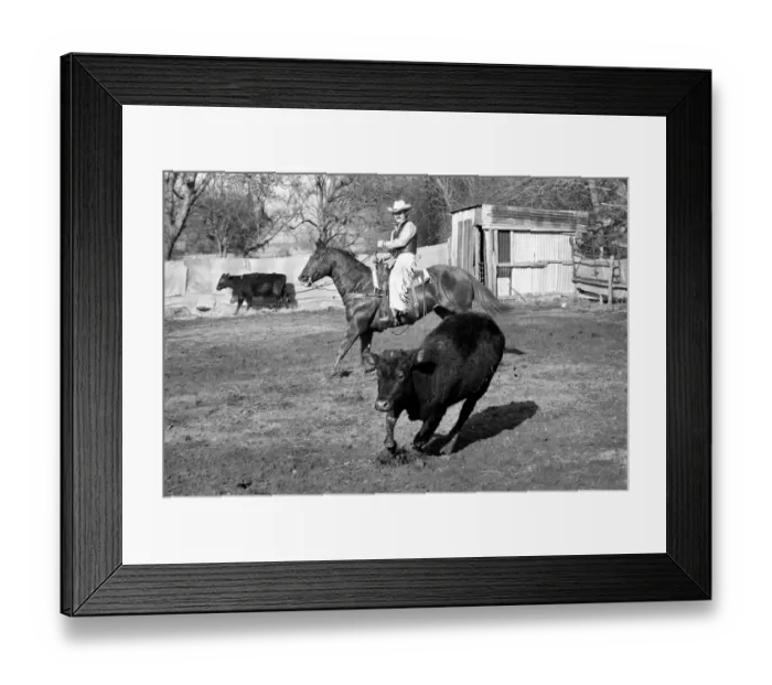 Framed Print : Farmer Bill Frith of Appledore, Kent, in cowboy dress and spurs Framed Print : Farmer Bill Frith of Appledore, Kent, in cowboy dress and spurs