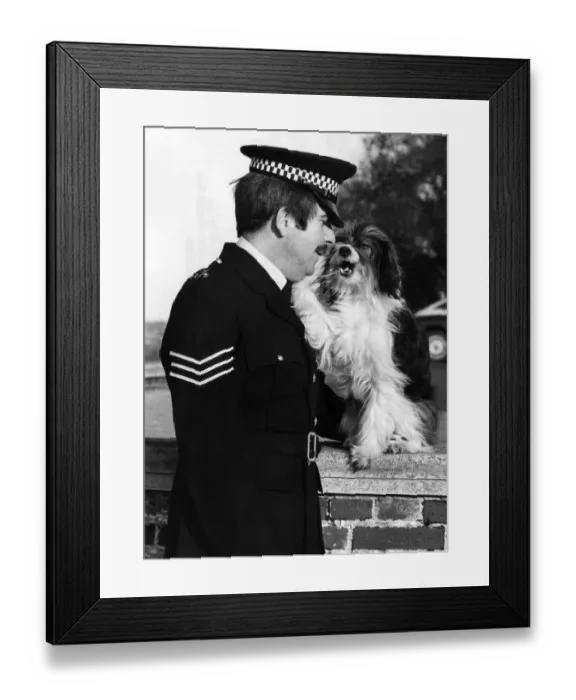 Framed Print : Law Paw... Pippin with Sgt Dick Smith of Thames Valley police. January 1984 P006049 Framed Print : Law Paw... Pippin with Sgt Dick Smith of Thames Valley police. January 1984 P006049