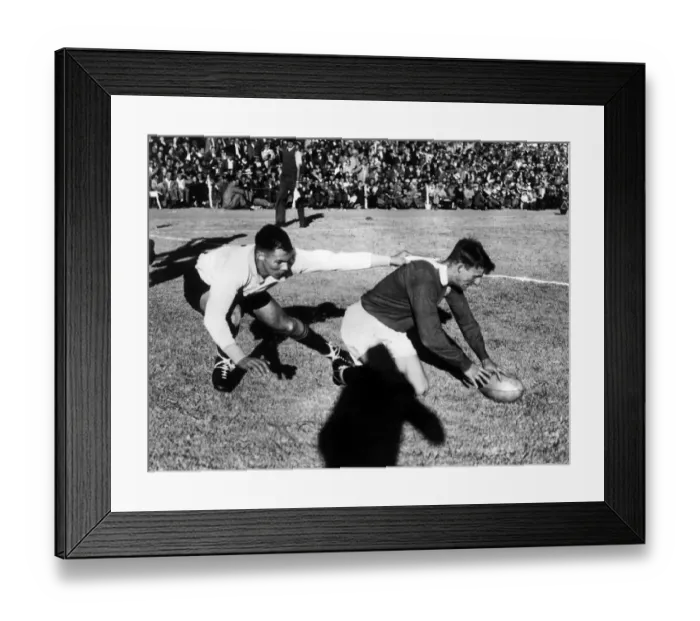 Framed Print : British Isles tour of South Africa 1955. OPS WPC Davies of Harlequins Framed Print : British Isles tour of South Africa 1955. OPS WPC Davies of Harlequins