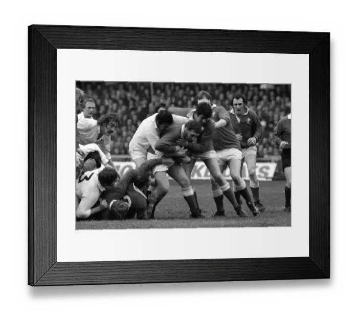 Framed Print : Five Nations Rugby 1977. England v Wales. 6th March 1977 Framed Print : Five Nations Rugby 1977. England v Wales. 6th March 1977