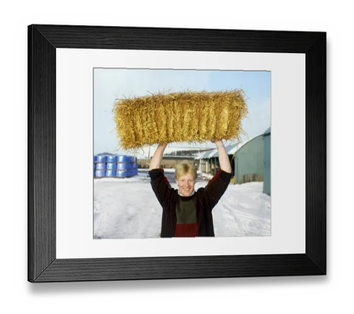 Framed Print : John Jeffrey holding haystack above head February 1986 Framed Print : John Jeffrey holding haystack above head February 1986