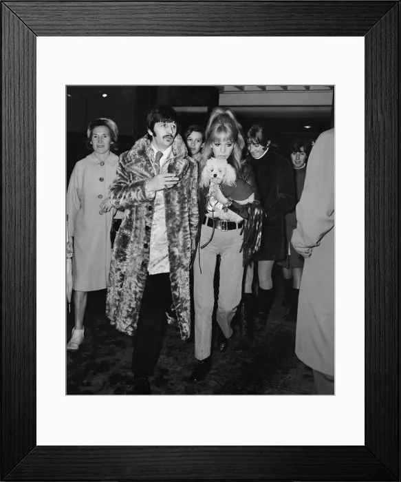 Framed Print : Beatles drummer Ringo Starr and wife Maureen (with pet poodle) arrive in Liverpool Framed Print : Beatles drummer Ringo Starr and wife Maureen (with pet poodle) arrive in Liverpool
