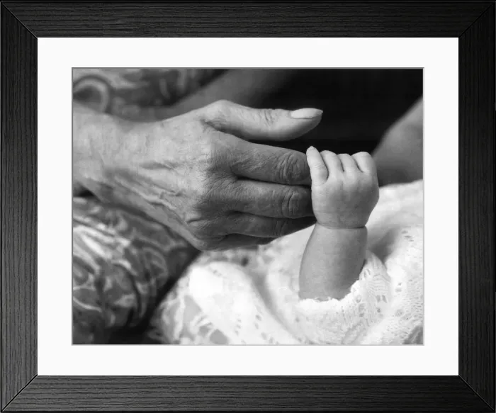 Framed Print : Grand Mother and Grand Daughter Hands Generations old and new Framed Print : Grand Mother and Grand Daughter Hands Generations old and new