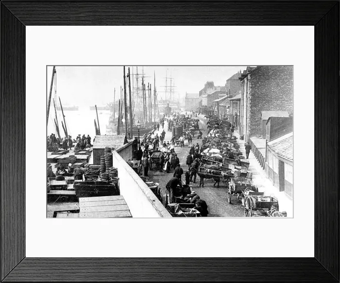 Framed Print : North shields fish quay in 1910. Sail still outnumbers steam and the horse Framed Print : North shields fish quay in 1910. Sail still outnumbers steam and the horse
