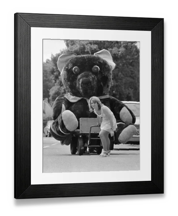 Framed Print : Nineteen year old Elaine Maidment pulls along her giant teddy bear on a trolley through Framed Print : Nineteen year old Elaine Maidment pulls along her giant teddy bear on a trolley through