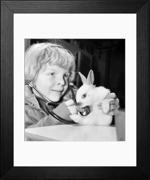 Framed Print : Animal: Cute: Bunny: It was a moment of tender wonderment Framed Print : Animal: Cute: Bunny: It was a moment of tender wonderment