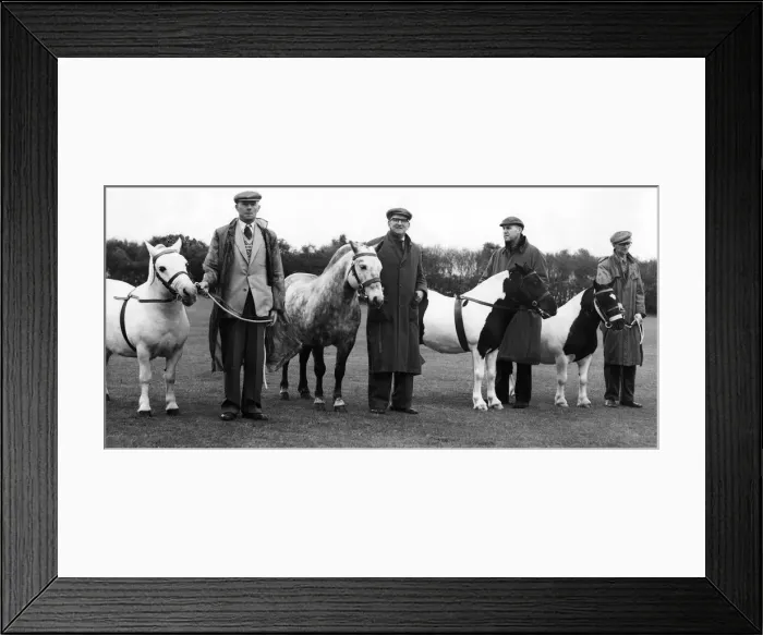 Framed Print : And here are the lucky four chosen for the Royal Show opening on July 4 Framed Print : And here are the lucky four chosen for the Royal Show opening on July 4