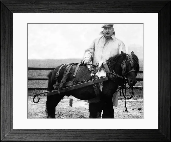 Framed Print : Mr. Harry Butters with one of the pit ponies he trains to work in the mines Framed Print : Mr. Harry Butters with one of the pit ponies he trains to work in the mines