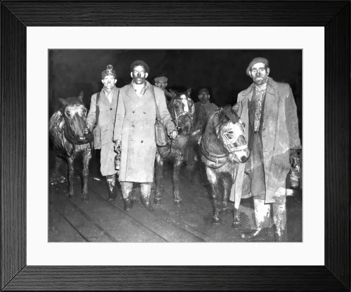 Framed Print : Miners leaving their pit after their shift with the ponies Framed Print : Miners leaving their pit after their shift with the ponies