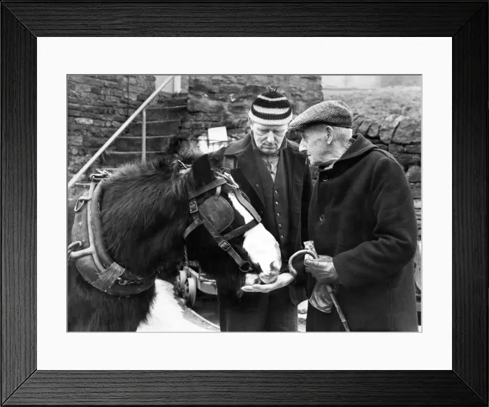 Framed Print : Gordon Patterson, the handler, left, and Mr. John William Hodson Framed Print : Gordon Patterson, the handler, left, and Mr. John William Hodson
