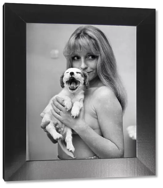 Woman: Girl: Puppy: Cute: King Charles Spaniel model Cherry Gilham. January 1976 76-00069