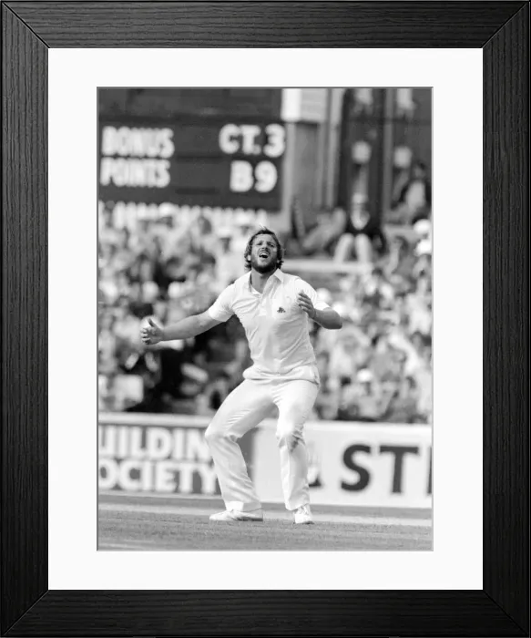 Framed Print : Cricket The Ashes England v Australia 6th Test at The Oval August 1981 Ian Botham Framed Print : Cricket The Ashes England v Australia 6th Test at The Oval August 1981 Ian Botham
