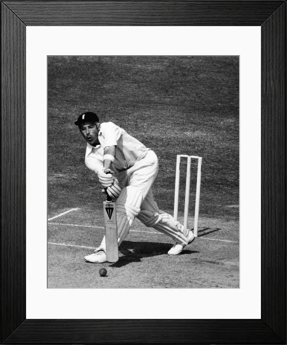 Framed Print : David Steele about to hit ball play defensive stroke Framed Print : David Steele about to hit ball play defensive stroke
