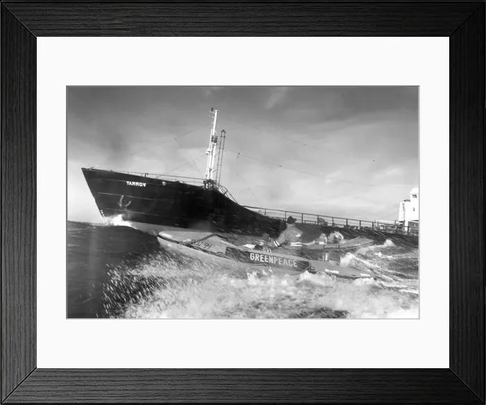 Framed Print : Greenpeace protesters alongside the wast dumping ship Yarrow in October 1987 Framed Print : Greenpeace protesters alongside the wast dumping ship Yarrow in October 1987