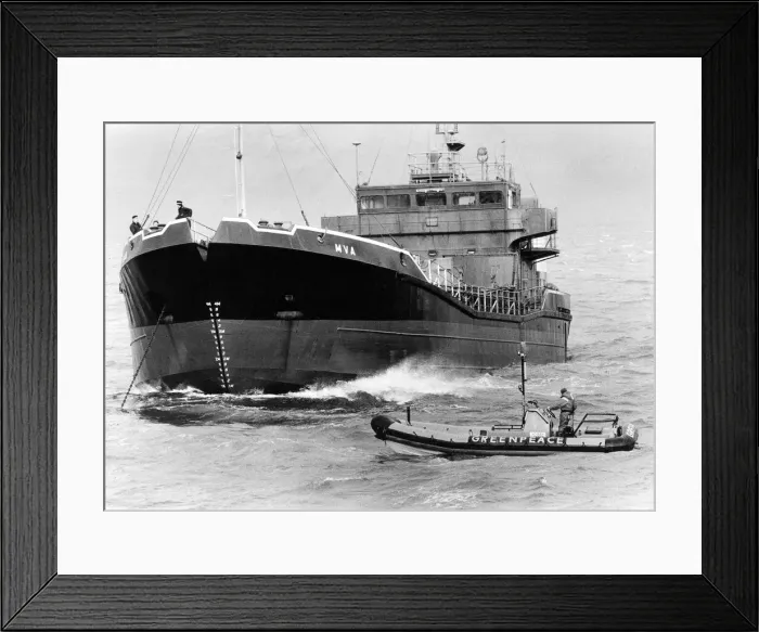 Framed Print : A Greenpeace activist in an inflatable buzzes