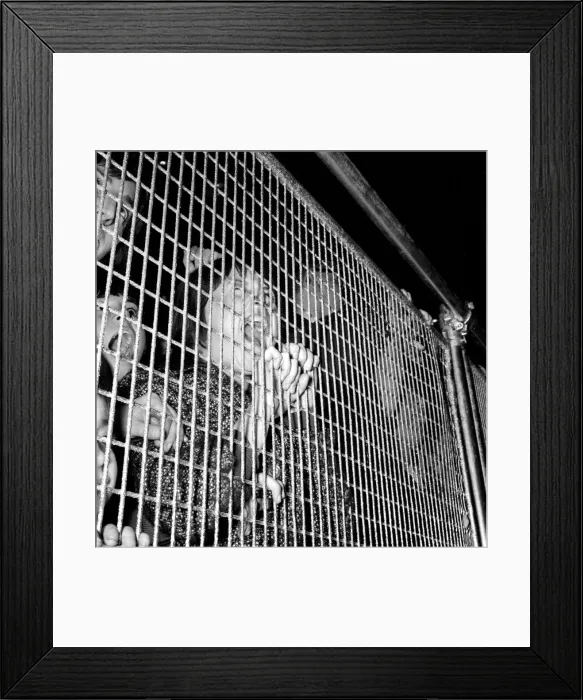 Framed Print : Beatles fans at Wimbledon Palais. 14th December 1963 Framed Print : Beatles fans at Wimbledon Palais. 14th December 1963