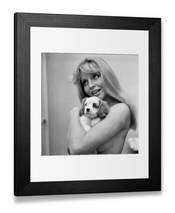 Framed Print : Woman: Girl: Puppy: Cute: King Charles Spaniel model Cherry Gilham Framed Print : Woman: Girl: Puppy: Cute: King Charles Spaniel model Cherry Gilham