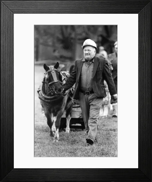 Framed Print : Pit pony Stevie and handler Alex Pickering