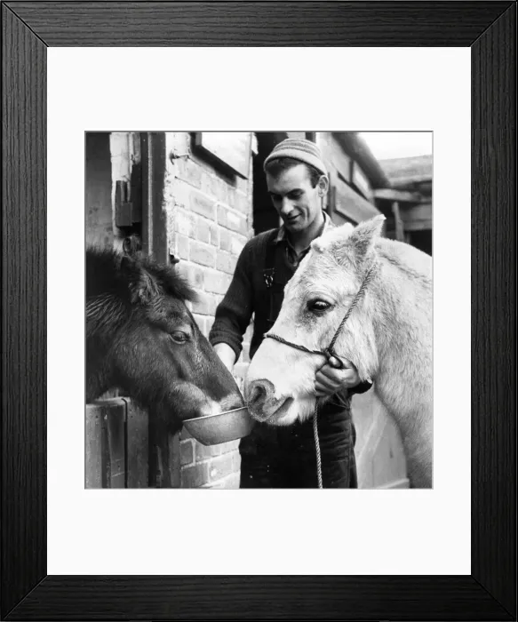 Framed Print : For Dane and Bonnie, its the bright lights from now Framed Print : For Dane and Bonnie, its the bright lights from now