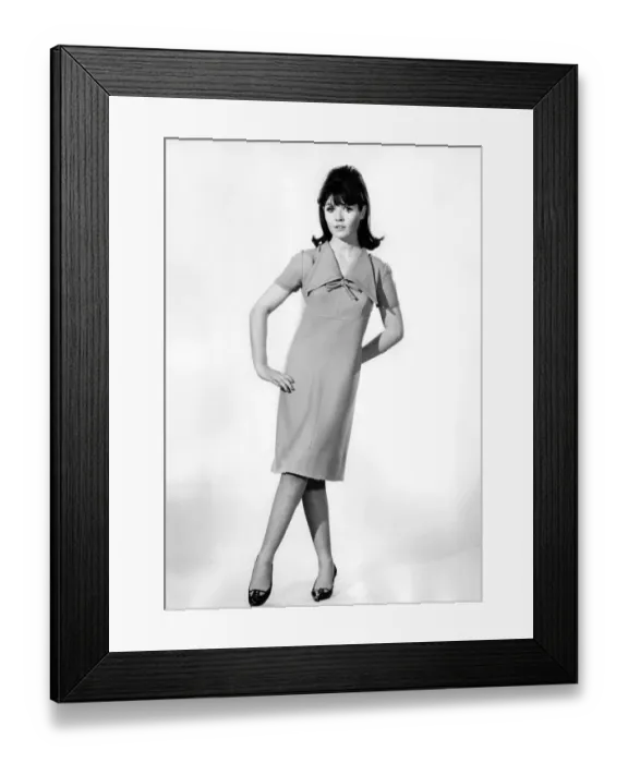 Framed Print : Reveille Fashions: Rosemary Bell. November 1964 P006787 Framed Print : Reveille Fashions: Rosemary Bell. November 1964 P006787