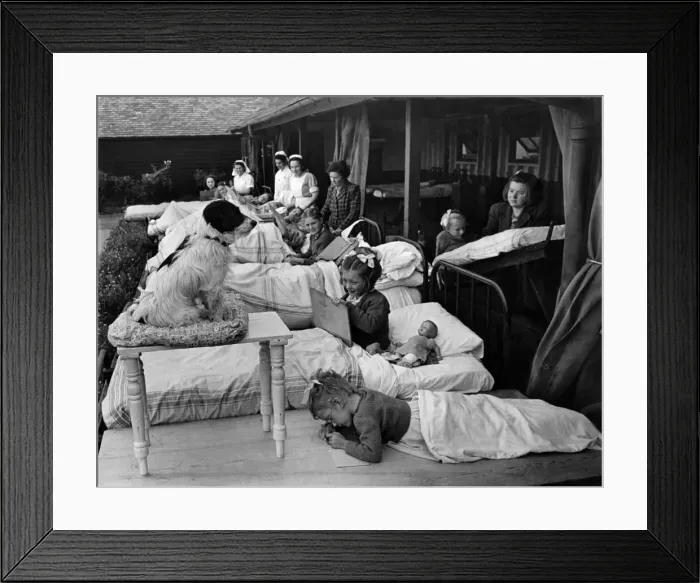 Framed Print : Towser'at School. This mongrel dog Towser is always with the children at St Framed Print : Towser'at School. This mongrel dog Towser is always with the children at St