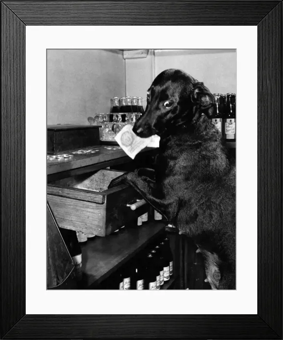 Framed Print : Strangers to Preston get quite a shock when they walk into a pub and are served by Framed Print : Strangers to Preston get quite a shock when they walk into a pub and are served by