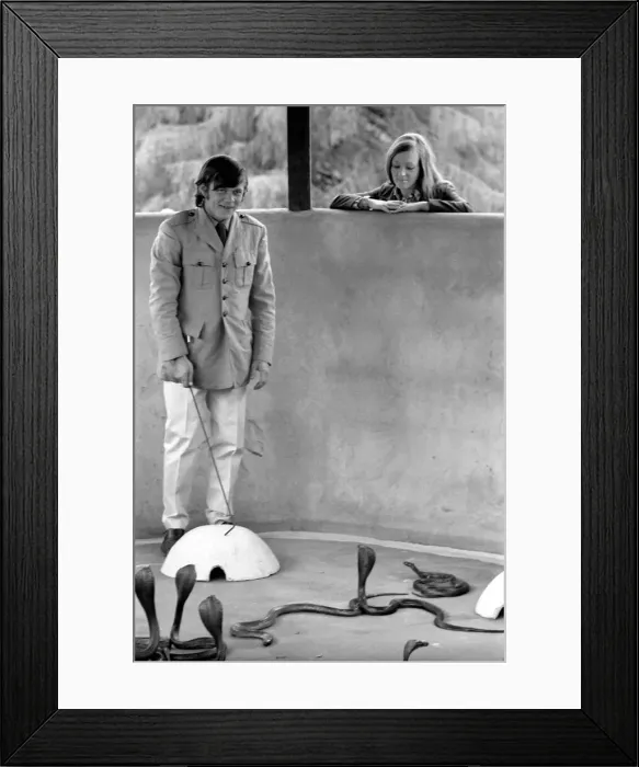 Framed Print : Snakes: Watched warily by his wife Patricia, snake handler Peter Waters goes back to work Framed Print : Snakes: Watched warily by his wife Patricia, snake handler Peter Waters goes back to work