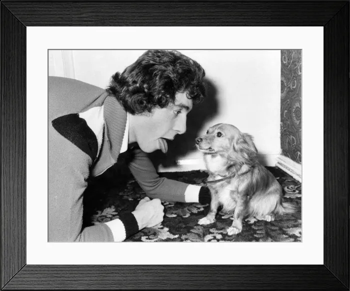 Framed Print : Are you on speaking terms with your dog? You could be it only you Framed Print : Are you on speaking terms with your dog? You could be it only you