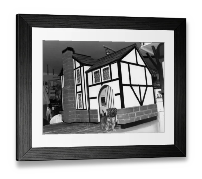 Framed Print : Mutts Mansion For a dog who likes style, here