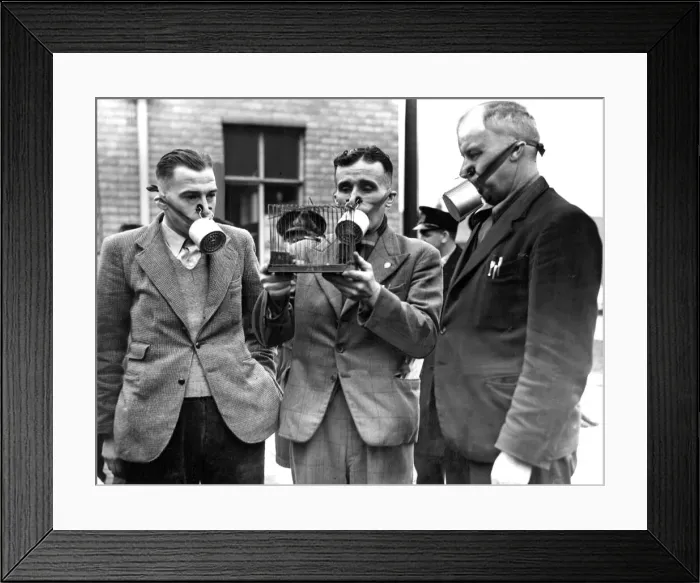 Framed Print : The Self-Rescuer, a new type of respirator, was demonstrated to miners