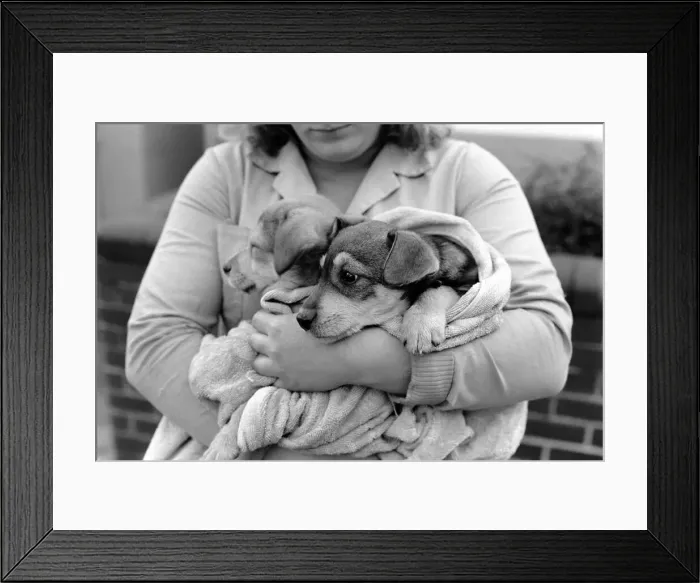 Framed Print : Animals: Cute: Puppies / Dogs. Woman and Pups. December 1976 76-07541-006 Framed Print : Animals: Cute: Puppies / Dogs. Woman and Pups. December 1976 76-07541-006