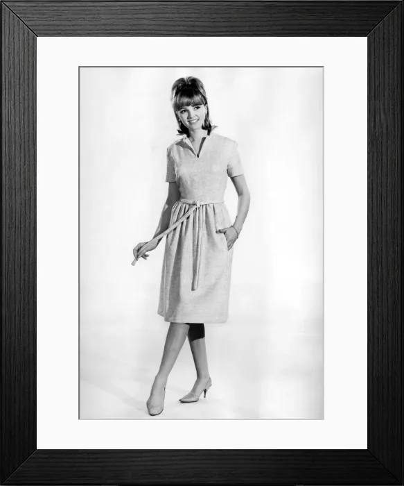 Framed Print : Reveille Fashions: Vivienne Cornwall. February 1965 P007734 Framed Print : Reveille Fashions: Vivienne Cornwall. February 1965 P007734
