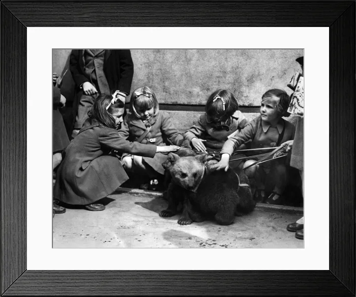 Framed Print : e. Ð Framed Print : e. Ð