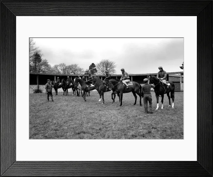 Framed Print : Jockey Willie Carson. All the Queens Horses
