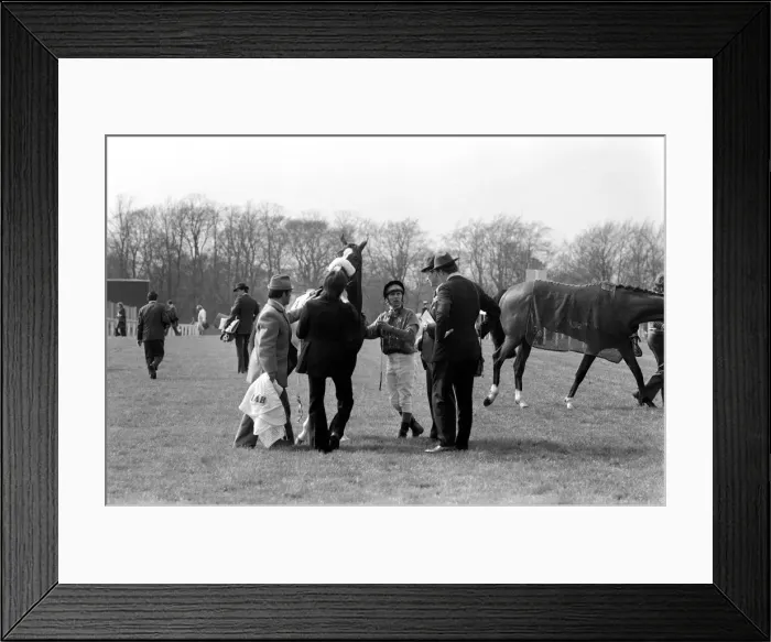 Framed Print : Jockey Willie Carson. All the Queens Horses