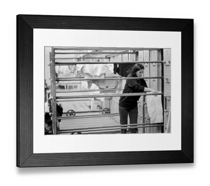 Framed Print : Glasgow Steamies. General scenes of women doing the laundry in a steamies in the Gorbals Framed Print : Glasgow Steamies. General scenes of women doing the laundry in a steamies in the Gorbals