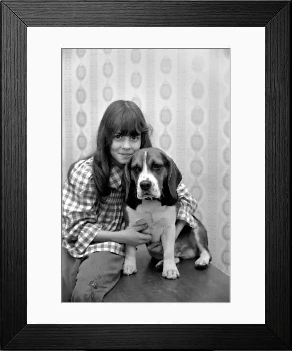Framed Print : Girl and dog: Maxine Solvey and Beagle Shandy. March 1975 75-01260-002 Framed Print : Girl and dog: Maxine Solvey and Beagle Shandy. March 1975 75-01260-002