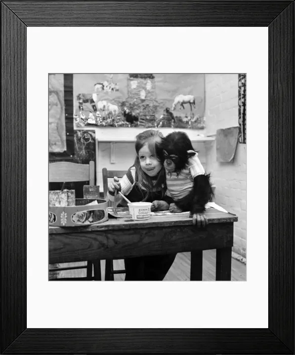 Framed Print : Children with Animals / Cute: Fred a year old chimp with Suzanne Crawley, 4 Framed Print : Children with Animals / Cute: Fred a year old chimp with Suzanne Crawley, 4