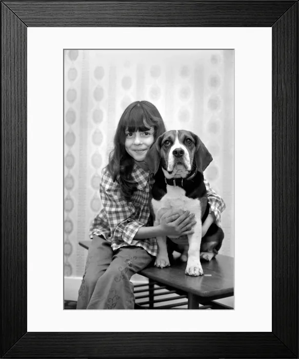 Framed Print : Girl and dog: Maxine Solvey and Beagle Shandy. March 1975 75-01260 Framed Print : Girl and dog: Maxine Solvey and Beagle Shandy. March 1975 75-01260
