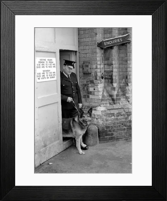 Framed Print : Police: Dog major with handler Gerald Ewing. March 1975 75-01234-005