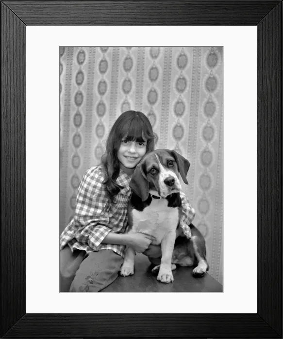 Framed Print : Girl and dog: Maxine Solvey and Beagle Shandy. March 1975 75-01260-001 Framed Print : Girl and dog: Maxine Solvey and Beagle Shandy. March 1975 75-01260-001