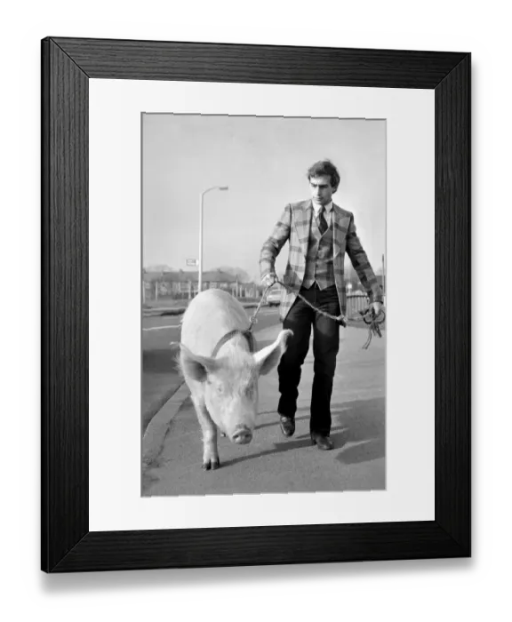 Framed Print : Animals: Humour. Porker Walker. Thorsten Kohrmann with Anna his performing pig between Framed Print : Animals: Humour. Porker Walker. Thorsten Kohrmann with Anna his performing pig between