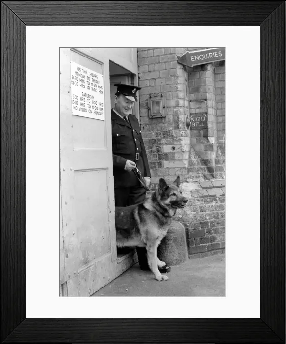 Framed Print : Police: Dog major with handler Gerald Ewing. March 1975 75-01234-002