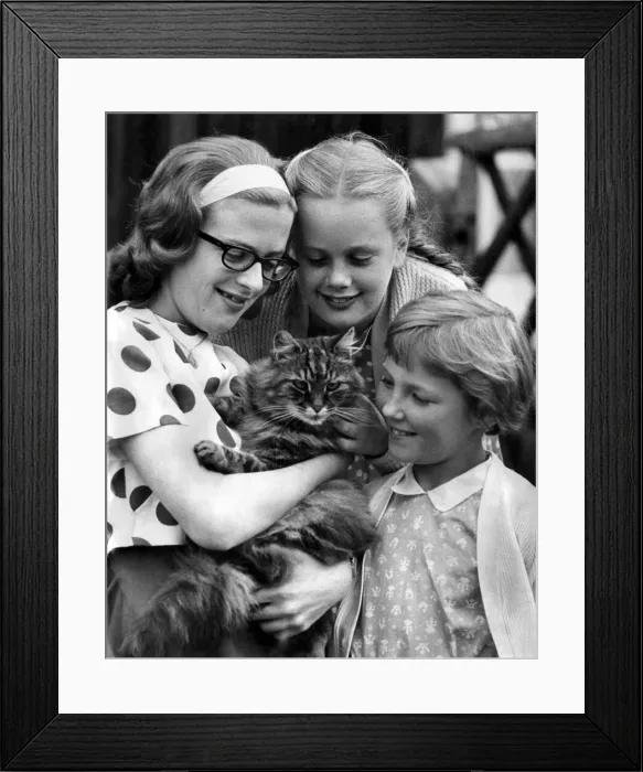 Framed Print : When it came to choosing a name for the cat in our picture, his owner had a good idea Framed Print : When it came to choosing a name for the cat in our picture, his owner had a good idea