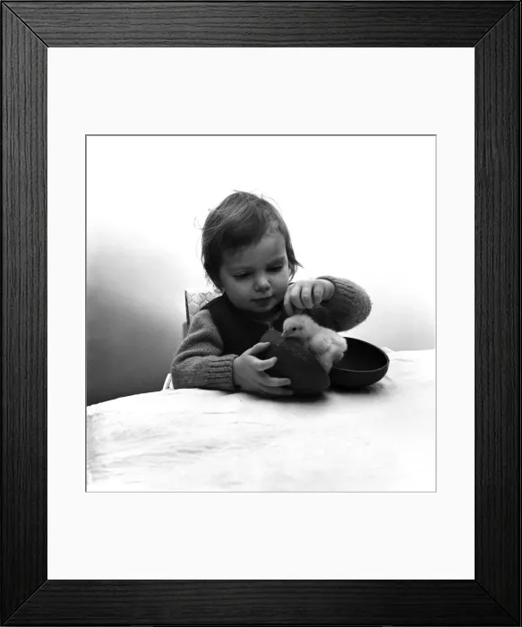 Framed Print : Children, Animals, Easter Chick, Egg. Diane Petrie and Chick Framed Print : Children, Animals, Easter Chick, Egg. Diane Petrie and Chick