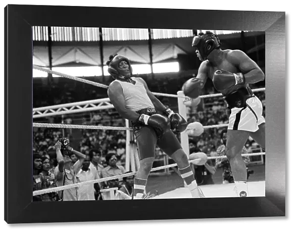 Joe Bugner v. Muhammad Ali in Kuala Lumpar. Ali sparring with Jimmy Ellis