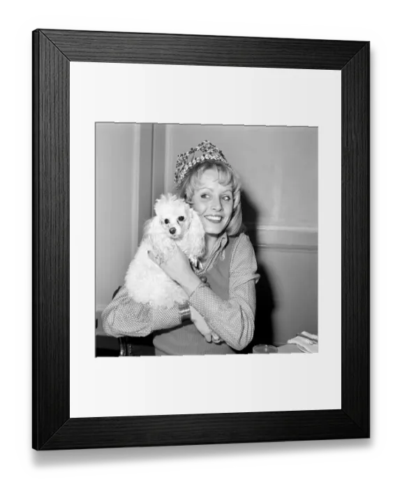 Framed Print : Miss World, 1972: Belinda Green: 20 year old Belinda Green, a blonde haired, blue eyed