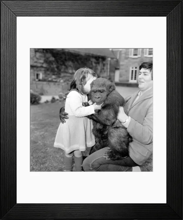 Framed Print : At the ripe old age pf 2Aoe years tiny Caroline Smith, daughter of Ken Smith Superintendant Framed Print : At the ripe old age pf 2Aoe years tiny Caroline Smith, daughter of Ken Smith Superintendant
