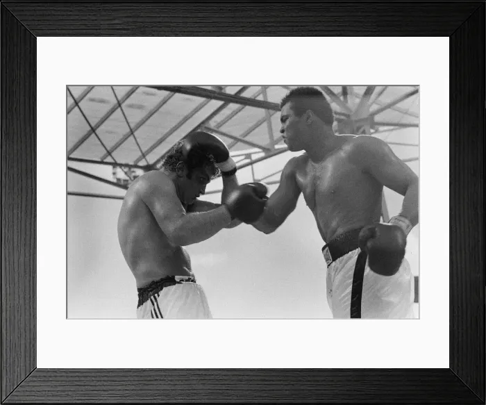 Framed Print : Action during the heavyweight world title fight between American Muhammad Ali Framed Print : Action during the heavyweight world title fight between American Muhammad Ali